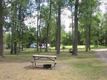 Jell E Bean Campground And Trailers Wasaga Beach Exterior foto